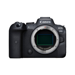 Canon 佳能 EOS R6 微单机身 全画幅微单 4K视频拍摄 配合镜头实现双重8级防抖 动物检测