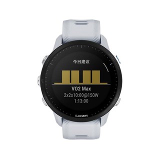 GARMIN 佳明 Forerunner 955 运动手表