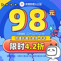 bilibili 哔哩哔哩 大会员12个月