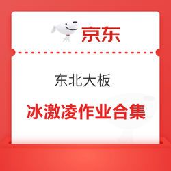 京东 东北大板 冰激凌作业合集（巧克力味2.65元/只橘子冰口味2.15元/只）