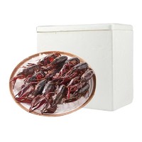 清水小龙虾 750g±50g（4-6钱）