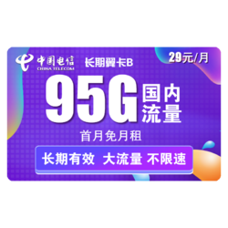 CHINA TELECOM 中国电信 电信5G长期翼卡 29元/月 95G全国流量 送30话费 长期套餐