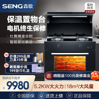 SENG 森歌 [新品首发]SENG/森歌 D6ZK家用一体集成灶家用大火力蒸烤一体机侧吸下排天然气