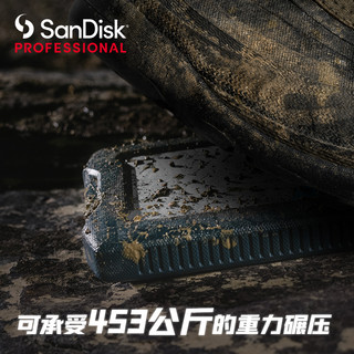 SanDisk professional 闪迪大师 极客 USB3.1 移动硬盘 1TB