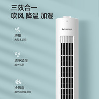 CHIGO 志高 塔扇空调扇冷风扇冷风机 家用办公用制冷净化空气 机械款