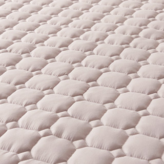 NEIGHBORIN THE FLOWER 花舍 家用加厚床褥 冰莓粉 150*200cm