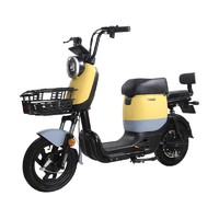 ZUB 五星钻豹 B3 Plus 电动自行车 TDT22Z 48V24Ah锂电池