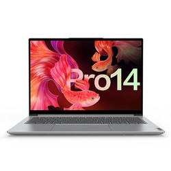 Lenovo 联想 小新Pro14 14英寸笔记本电脑（R7-5800H、16GB、512GB）