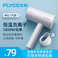 FLYCO 飞科 FH627系列 电吹风