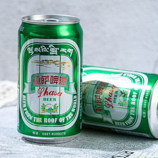 拉萨啤酒 啤酒 628ml*12瓶