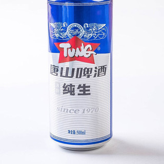 TUNG BEER 唐山啤酒 啤酒 500ml*12听