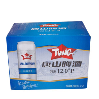 TUNG BEER 唐山啤酒 啤酒 500ml*12听