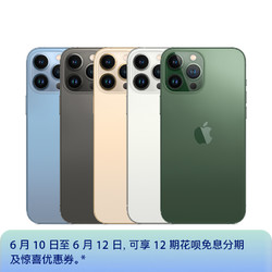 Apple 苹果 iPhone 13 Pro Max系列 A2644国行版 5G手机 128GB 苍岭绿色