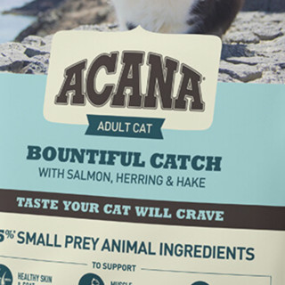 ACANA 爱肯拿 燕麦猫系列 抓多多鱼肉成猫猫粮 4.5kg