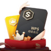 WPS 金山软件 WPS超级会员 2年卡