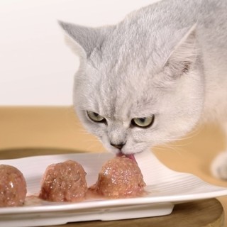 猫咪零食成年猫幼猫营养增肥鸡肉三文鱼果冻宠物湿粮包猫布丁罐头