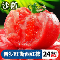 云南高原沙瓤西红柿可生吃新鲜水果蔬菜茄果瓜类 3斤小果 试吃装 建议拍5斤