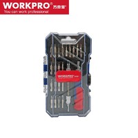 WORKPRO 万克宝 精密螺丝批 24PC 钟表修理组套-(W021419N)/1套