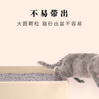 渴望猫六种鱼爱猫猫粮1/1.8/5.4KG宠物天然鱼肉味加拿大进口猫粮（6个月以上、鱼肉味）