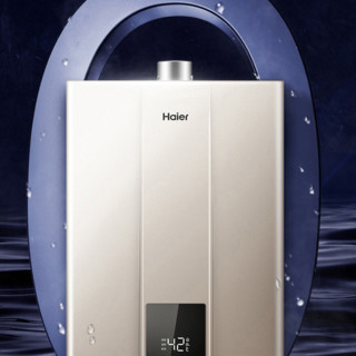 Haier 海尔 JSQ25-13WJS2(12T) 零冷水燃气热水器 13L