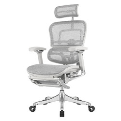 Ergonor 保友辦公家具 金豪L 2代 人體工學電腦椅+躺舒寶 銀白色