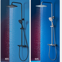 浪鲸 SSWW13022 多功能按摩花洒 铬色