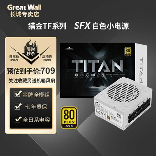 Great Wall 长城 猎金TF750 白色限量版 金牌（90%）全模组SFX电源 750W