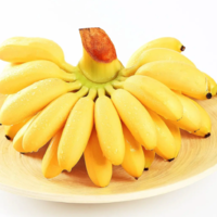 直播专享：每日优鲜 小米蕉 2.5kg