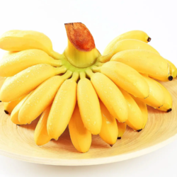 每日优鲜 小米蕉 2.5kg