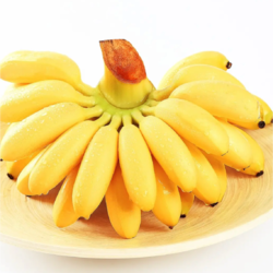每日优鲜 小米蕉 2.5kg