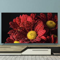 tcl75v8e75英寸120hz高色域高刷232gb液晶平板电视机电视