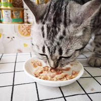 FANCY FEAST 珍致 猫罐头 猫咪营养零食泰国进口成猫幼猫宠物全阶段湿粮