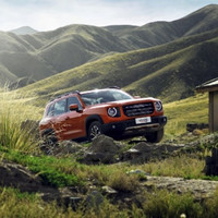 HAVAL 哈弗 大狗 22款 1.5T 两驱马犬版