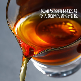 雨林 古树茶 红茶 云南滇红茶一芽一叶 2021年雨林红5号80g*5罐