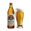 PAULANER 保拉纳 柏龙小麦白啤酒 500ml*20瓶