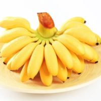直播专享：每日优鲜 小米蕉 2.5kg