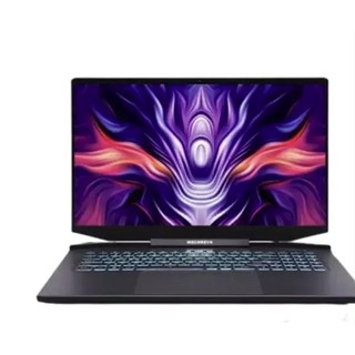 机械革命 钛钽PLUS 17.3英寸游戏本（i7-11800H、16GB、512GB、RTX3060）(需用玩)