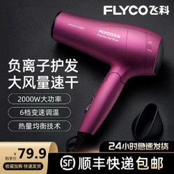 FLYCO 飞科 FH6618 负离子吹风机