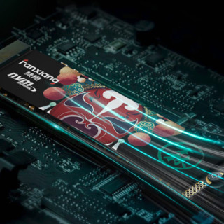 FANXIANG 梵想 国潮系列 S500 PRO NVMe M.2 固态硬盘 1TB（PCI-E3.0）