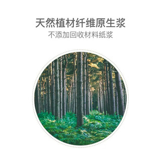 圣洁康抽纸整箱纸巾卫生纸餐巾纸纸巾抽4层10包 10包