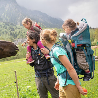 deuter 多特 考拉Kid Comfort户外徒步登山运动旅行儿童背架双肩包亲子背包 经典款豪华版午夜蓝/3620321/3003