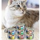 K9Natural 宠源新 FelineNatural k9猫罐头 新西兰原装进口成猫幼猫通用主食罐头 混合口味170g*8