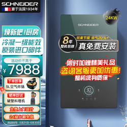 Schneider 施耐德 法国（SCHNEIDER）一级能效家用燃气壁挂炉天然气采暖炉冷凝锅炉取暖气片地暖采暖洗浴两用恒温热水器24KW