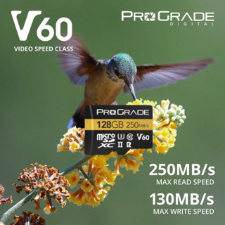ProGrade Digital 铂格瑞 ProGradeDigital（铂格瑞） TF卡V60 存储卡4k读取250M/S 写入130M/S 4k TF卡双排金手指128G250M/S
