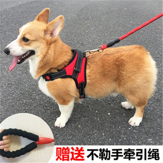 狗狗牵引绳背心式遛狗绳子宠物用胸背带