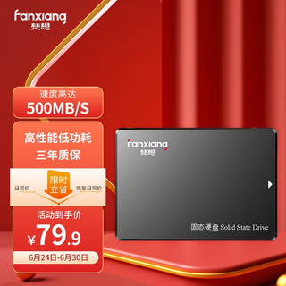 FANXIANG 梵想 SSD固态硬盘 SATA3.0接口 S101系列 SATA 3.0接口 512G