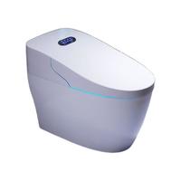 WEILIJING 卫丽净 WLJ-C6 智能马桶一体机