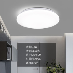 DongDong 東東 家居吸顶灯 LED吸顶灯卧室灯走廊阳台灯现代简约灯具圆形12瓦