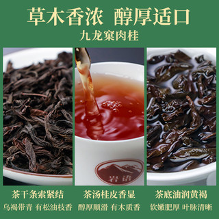 岩语鉴山九龙窠肉桂岩茶特级武夷岩茶正岩中火乌龙茶限量礼盒送礼 鉴山九龙窠肉桂51g