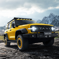 TANK 坦克 300 22款 2.0T 边境限定版